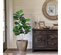 Árbol de higuera artificial de 150 cm con hojas reales y maceta de cemento, planta artificial grande para salón, oficina, balcón, fácil de limpiar, realista y estable