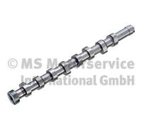 Árbol de levas Acero 50007674 KOLBENSCHMIDT para FORD CITROËN PEUGEOT MAZDA FIAT