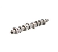 Árbol de levas INA 428 0110 10 para VW BORA I (1J2) 1.9 2000-2005