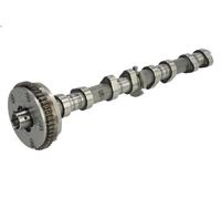 Árbol de levas KOLBENSCHMIDT 50007634 para AUDI A5 (8T3) 1.8 2009-2011