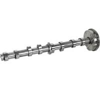 FEBI BILSTEIN 175101 Árbol de levas