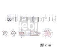 FEBI BILSTEIN 175291 Árbol de levas