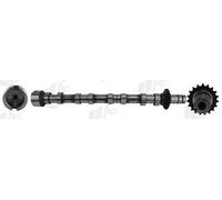 Árbol de levas Lado de escape Acero CAM1031 AE para CITROËN PEUGEOT FORD DS OPEL