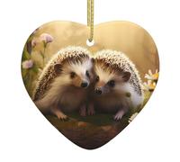 Árbol de Navidad colgante de cerámica colgante amor WHJSSF Naturaleza encantador erizo Amantes patrón agujeros cuidadosamente perforados cuerda de metal