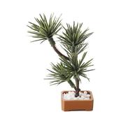 Árbol de pino artificial en maceta verde en miniatura para casas de muñecas en miniatura, decoración de fotos, árboles artificiales, casas de muñecas