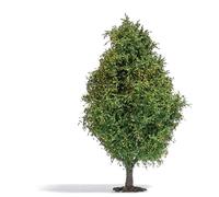 Árbol Deciduo 115 Mm, Final Del Verano HO/OO Gauge Busch 3723