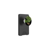 Árbol del Territorio de Connecticut El Roble Blanco PopSockets PopWallet para MagSafe