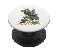 Árbol del Territorio de Connecticut El Roble Charter PopSockets PopGrip Adhesivo