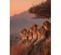 áRbol Diamond Painting, LeóN 5D Diamond Painting Adultos, DIY Kit Manualidades Adultos, DIY Punto de Cruz Cuadro Diamante, Primavera Regalo, Pintura de Diamante Kits, Home Decoration, 100x135cm 8-2461