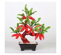 Árbol falso Plantas falsas Árbol bonsái artificial Árbol de chile jade natural Bonsái Decoración de sala de estar Decoración del hogar Entrada Adornos de jade creativos Árbol en maceta artificial,