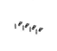 árbol levas Compatible con balancín de válvula | Conjunto brazo/taqué hidráulico INA 423008710