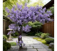 ÁRbol LloróN De Cerezo Morado Artificial Interior Exterior