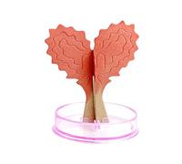 Árbol mágico de papel del día de San Valentín - Artesanías de árboles de crecimiento mágico con flores en forma de corazón | Árbol de papel con forma de corazón de bricolaje, árboles de mágicos