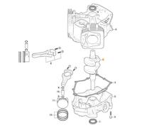 Árbol Motor ORIGINAL STIGA Motor TRE 635V Cortacésped Tractor 118551555/0