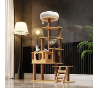 Árbol para Gatos Grandes de 165 cm, Torre para Gatos de 8 Pisos, casa, cápsula Espacial Transparente, Plataforma de Salto de Felpa, Bola de Juguete, Escalera de sisal para moler Garras (Color