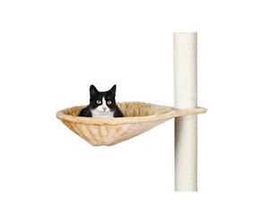 Árbol rascador para gatos Trixie