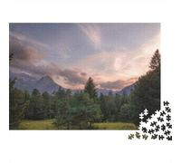 Árbol y Bosque, Paisaje Y Naturaleza, Puzzle para Adultos Y Niños, 1000 Piezas De Diversión En Familia, Un Desafío Emocionante para La Noche De Juegos 70x50cm/1000pcs
