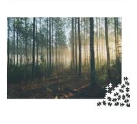 Árbol y Bosque, Paisaje Y Naturaleza, Puzzle para Adultos Y Niños, 1000 Piezas De Diversión En Familia, Un Desafío Emocionante para La Noche De Juegos 52x38cm/1000pcs