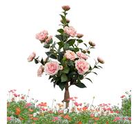 Árboles artificiales de interior - Camelia con estacas de suelo para decoración primaveral - Plantas para Porche Delantero y Árbol Artificial - Para hogar oficina casa rural jardín patio terraza porch