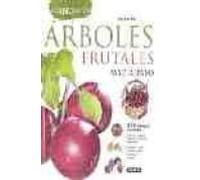 Arboles Frutales Paso A Paso