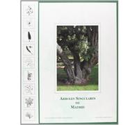 Árboles singulares de Madrid