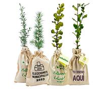 Arbolitos de regalo - Pack 100 Uds en Bolsa de Lino Personalizada con la Imagen o Texto que Quieras - Amplia variedad de Especies - Promociones Publicitarias, Eventos, Bodas - Regala Vida