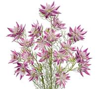 Arborus 3 flores artificiales de 26 pulgadas de alto, flores artificiales de seda de Serruria Florida, tallos largos, flores artificiales de serruria rubor para novia, flores falsas moradas para