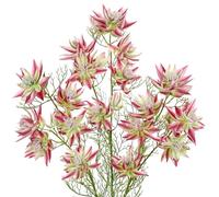 Arborus 3 flores artificiales de 26 pulgadas de alto, flores artificiales de seda de Serruria Florida, tallos largos, flores falsas rosadas, flores artificiales de serruria para novia, flores en