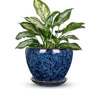 Arborus Macetero de cerámica de 15 cm de diámetro, maceta con posavasos y agujeros de drenaje, maceta redonda para plantas de interior, macetero para flores, exterior, interior, jardín, moderno