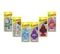 Arbre Magique Ambientador para Coche, Fragancia Intensa y Estructurada, Paquete de 6 Unidades Variadas con Jungle Fever, Almizcle Blanco, Rosa Negra, Flores de Primavera, Violeta y Gardenia y Lavanda