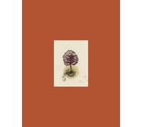 Arbres: Coffret en 3 volumes : Nous irons au bois ; Bois profonds ; Printemps rouge. Avec 12 cartes postales