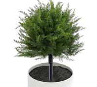 Arbustos de cedro artificiales resistentes a los rayos UV con pinchos | Topiario al aire libre para terraza, patio, porche, interior y exterior