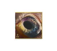 Arcade Fire WE (Vinyl) 12" Album (Gatefold Cover) (Importación USA)