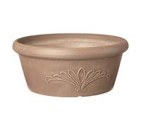 Arcadia Garden Products PSW Pot TA30TP Collection - Maceta Baja para suculentas, bonsái, Jardines de Hadas, Hierbas, 12 Pulgadas, Color Gris Pardo