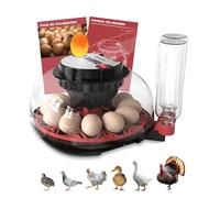 Arcanix Incubadora Huevos Gallina - Incubadora Automática de 12-16 Huevos Controles Automáticos de Temperatura y Humedad Termómetro Guía incubación Volteo Automático de Huevos