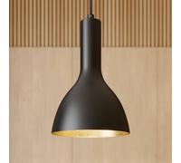 Arcchio Lámpara colgante Cosmina, 1 luz, negro, metal