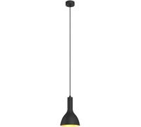 Arcchio Lámpara colgante Cosmina, 1 luz, negro, metal