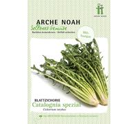 Arche Noah Bio Achicoria "Catalogna spezial" - 1 paq.