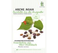 Arche Noah Judía Roja 'Aus Ober-Wolfsbach' Bio - 1 paq.
