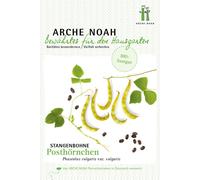 Arche Noah Judía Trepadora 'Posthörnchen' Bio - 1 paq.