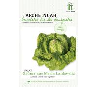 Arche Noah Lechuga "Grüner aus Maria Lankowitz" Bio - 1 paq.