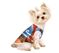 Arches National Park - Camiseta sin mangas con estampado estándar para perros y gatos, chaleco suave y elástico para interiores y exteriores