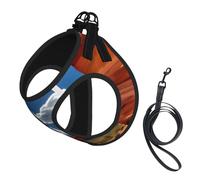 Arches National Park - Chaleco de correa para mascotas con estampado estándar, para perros pequeños, ajustable y cómodo, esencial para gatos y cachorros