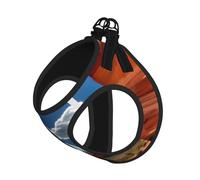 Arches National Park - Chaleco de correa para mascotas con estampado estándar, para perros pequeños, ajustable y cómodo, esencial para gatos y cachorros