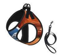 Arches National Park - Juego de arnés para perro con correa con chaleco acolchado grueso para perros extra pequeños/pequeños y medianos