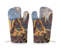 Arches National Park - Manopla de horno antideslizante de alta resistencia al calor, guantes de cocina suaves y cómodos, guantes de cocina para colgar, guantes de cocina, 1 par