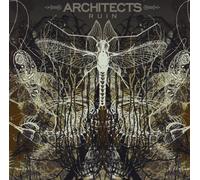 Architects - Ruin