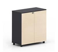 Archivador de oficina seguro con cerradura de combinación para espacio de trabajo organizado