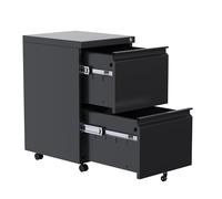 Archivador Móvil Metálico 2 Cajones con Cerradura, Cajonera Oficina Bajo Escritorio 69x44x50,5 cm, Bloqueable, Incluye 2 Llaves, Ruedas con Freno, Mueble Archivador A4 para Oficina Home Office, Negro