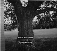 Archy Marshall - A New Place 2 Drown (Instrumentals) [Vinilo]